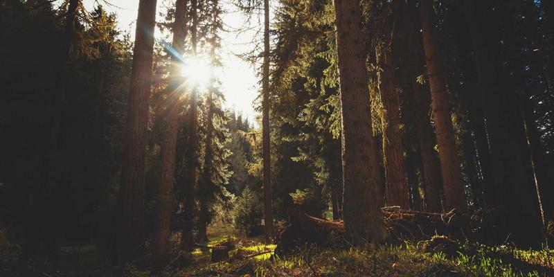 时代天街2：重塑山城购物体验的立体生活新地标