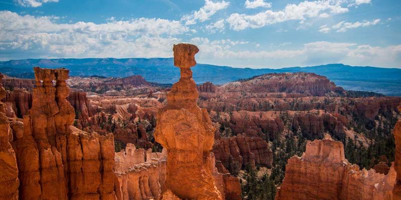 时代天街42：一座购物中心如何重塑城市零售新生态