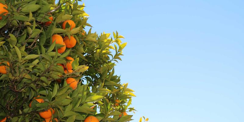 时代天街45：解码城市商业新地标的投资价值与未来潜力