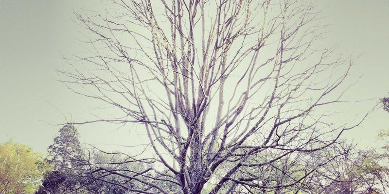 时代天街67：解码城市商业地标如何重塑零售新生态