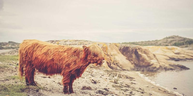 时代天街91:解码商业地产新范式,重塑城市级购物体验