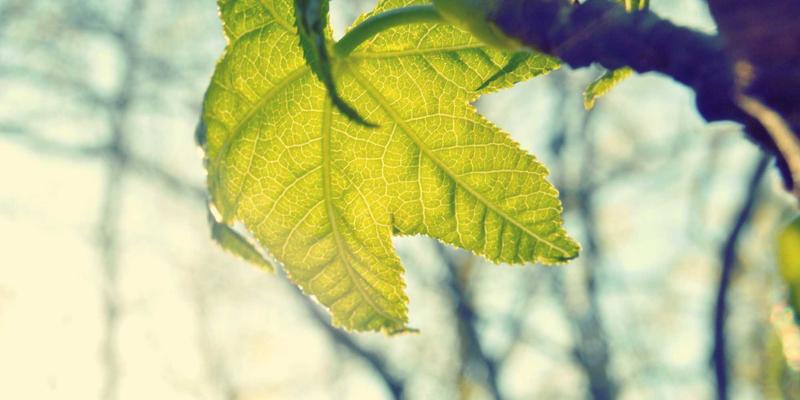 时代天街96：解码重庆零售新地标的商业魅力与未来趋势