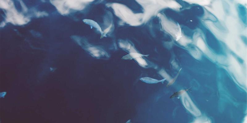 时代天街B1层地铁商业的运营密码：解码购物中心连接交通动脉的“高流量”投资法则