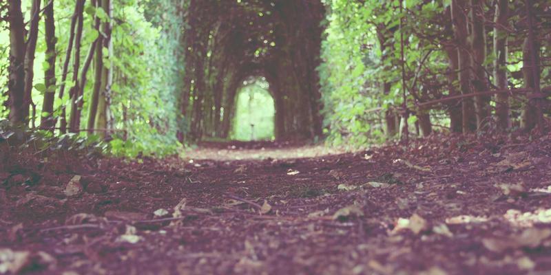 时代天街全解析：不止是购物中心，更是城市生活新地标