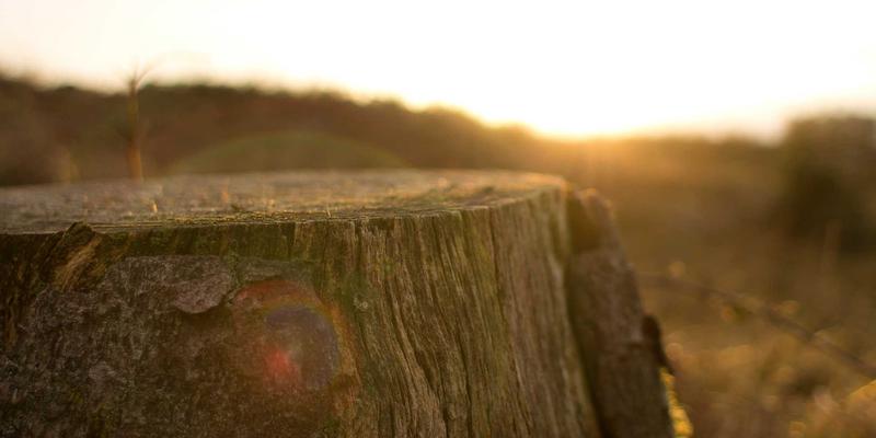 时代天街商业广场会员体系深度解析：如何通过数字化运营提升顾客忠诚度与复购率