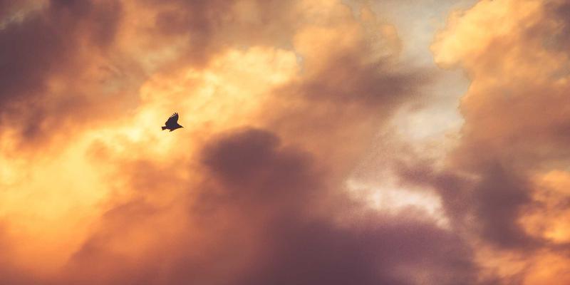 时代天街：地铁上盖商业如何重塑购物体验与投资价值