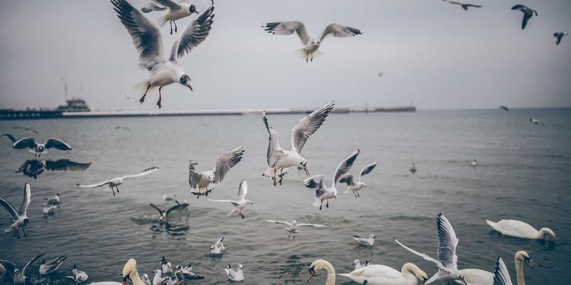 时代天街夜间经济生态研究：从深夜食堂到24小时书店的零售新体验
