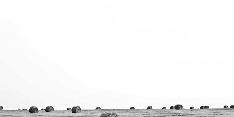 时代天街屋顶空间商业价值开发：从空中花园到主题市集的创新利用