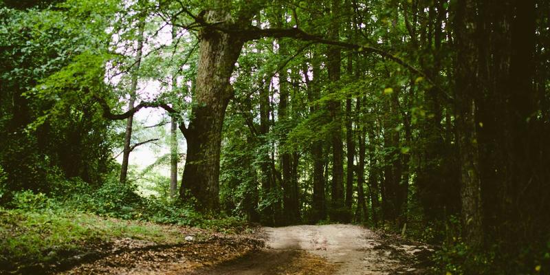 时代天街美妆业态集群分析：国际大牌与国潮美妆的共生之道与商业投资启示