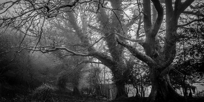 时代天街艺术装置与公共空间营造：商业地产如何借力文化IP提升购物中心品牌调性