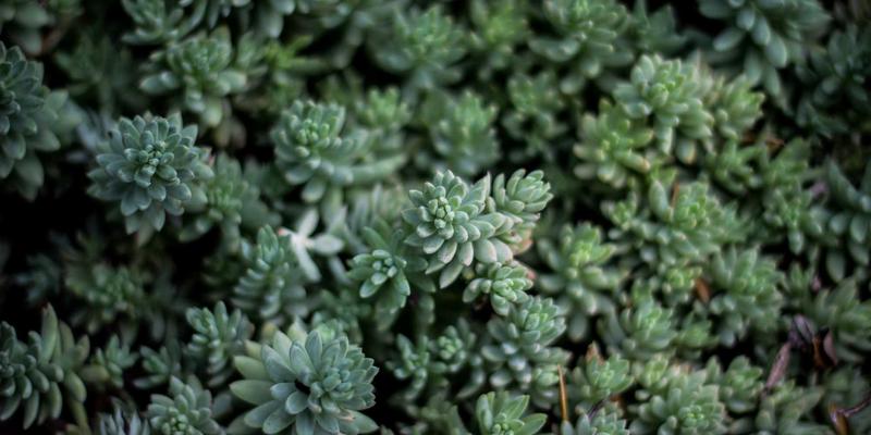 时代天街节假日营销策略拆解：现象级主题活动背后的商业地产投资逻辑