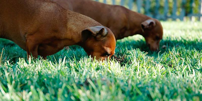 时代天街进阶：解码商业广场如何重塑城市消费生态