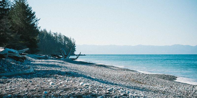 时代天街餐饮业态升级：从网红流量到品质体验的商业转型之路