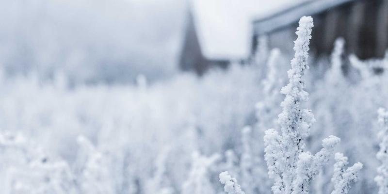 时代天街餐饮品牌矩阵解码：商业地产如何借力餐饮业态引爆零售流量